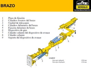 BRAZO
 