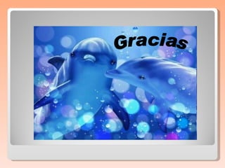 Gracias 
