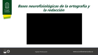www.ucundinamarca.edu.co
Vigilada MinEducación
Bases neurofisiológicas de la ortografía y
la redacción
 