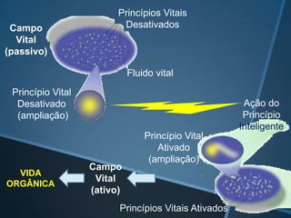Campo
Vital
(passivo)

Princípios Vitais
Desativados

Fluido vital
Princípio Vital
Desativado
(ampliação)

VIDA
ORGÂNICA

Ação do
Princípio
Inteligente

Campo
Vital
(ativo)

Princípio Vital
Ativado
(ampliação)

Princípios Vitais Ativados

 