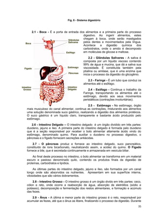 35
Fig. 6 - Sistema digestório
2.1 - Boca - É a porta de entrada dos alimentos e a primeira parte do processo
digestivo. A...