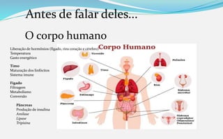 Antes de falar deles...
O corpo humano
Liberação de hormônios (fígado, rins coração e cérebro)
Temperatura
Gasto energético
Timo
Maturação dos linfócitos
Sistema imune
Fígado
Filtragem
Metabolismo
Conversão
Pâncreas
Produção de insulina
Amilase
Lipase
Tripisina
 