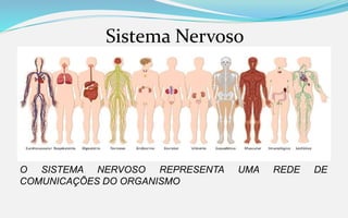 Sistema Nervoso
O SISTEMA NERVOSO REPRESENTA UMA REDE DE
COMUNICAÇÕES DO ORGANISMO
 