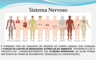 Sistema Nervoso
É FORMADO POR UM CONJUNTO DE ÓRGÃOS DO CORPO HUMANO QUE POSSUEM
A FUNÇÃO DE CAPTAR AS MENSAGENS, ESTÍMULOS DO AMBIENTE, "INTERPRETÁ-LOS" E
"ARQUIVÁ-LOS". CONSEQUENTEMENTE, ELE ELABORA RESPOSTAS, AS QUAIS PODEM
SER DADAS NA FORMA DE MOVIMENTOS, SENSAÇÕES OU CONSTATAÇÕES.
 