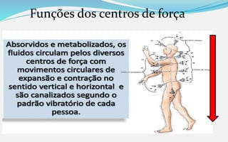 Funções dos centros de força
 