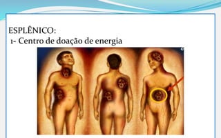 ESPLÊNICO:
1- Centro de doação de energia
 