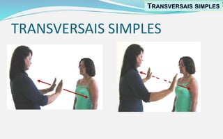 TRANSVERSAIS SIMPLES
TRANSVERSAIS SIMPLES
 