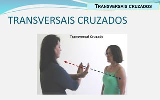 TRANSVERSAIS CRUZADOS
TRANSVERSAIS CRUZADOS
 