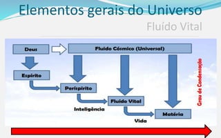 Elementos gerais do Universo
Fluído Vital
 