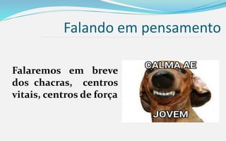Falando em pensamento
Falaremos em breve
dos chacras, centros
vitais, centros de força
 