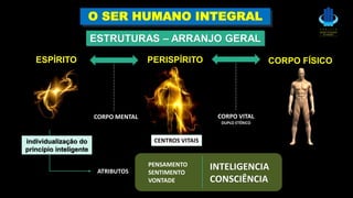 CORPO MENTAL CORPO VITAL
DUPLO ETÉRICO
ESTRUTURAS – ARRANJO GERAL
O SER HUMANO INTEGRAL
ATRIBUTOS
PENSAMENTO
SENTIMENTO
VONTADE
INTELIGENCIA
CONSCIÊNCIA
PERISPÍRITO CORPO FÍSICO
individualização do
princípio inteligente
CENTROS VITAIS
ESPÍRITO
 