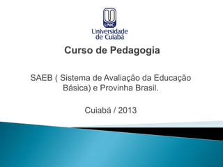 SAEB ( Sistema de Avaliação da Educação
Básica) e Provinha Brasil.
Cuiabá / 2013
 