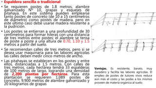 • Espaldera sencilla o tradicional
• Se requieren postes de 1.8 metros, alambre
galvanizado Nº 10, grapas y esquejes de
pitahaya. En este sistema pueden emplearse
tanto postes de concreto (de 10 a 15 centímetros
de diámetro) como postes de madera, pero en
este último caso debe usarse madera resistente a
la pudrición.
• Los postes se entierran a una profundidad de 30
centímetros para formar hileras con una distancia
de tres metros entre postes; el alambre se tensa
de poste a poste a una altura de 0.70, 1.10 y 1.5
metros a partir del suelo.
• Se recomiendan calles de tres metros, pero si se
desea usar maquinaria para las labores agrícolas
las calles deben medir cinco metros de ancho.
• Las pitahayas se establecen en los postes y entre
ellos, distanciadas a 1.5 metros. Con calles de
tres metros, cada hectárea tendrá 33 espalderas
de 100 metros de largo, logrando una densidad
de 2,200 plantas por hectárea. Para esta
plantación se requieren 1,089 postes de
concreto, 9,900 metros de alambre galvanizado y
20 kilogramos de grapas
Ventajas. Es resistente, barato, muy
duradero y facilita las labores agrícolas. El
empleo de postes de tutores vivos reduce
aún más el costo y las podas a los mismos
proveen de materia orgánica al suelo.
 