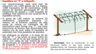 • Espaldera en "T" o telégrafo
• Los requerimientos para este tipo de
estructura son 1,089 postes de 1.8 metros,
1,089 travesaños de 80 centímetros, 9,900
metros de alambre galvanizado Nº 10, 20
kilogramos de grapas y 1,200 esquejes de
pitahaya. Este sistema es una variación de la
espaldera sencilla.
• El poste de 1.80 metros se entierra 30
centímetros, quedando expuesto 1.5
metros; en el extremo superior de este
poste se coloca un travesaño de 80
centímetros para formar una "T"; con estas
estructuras se forman filas distanciadas tres
metros una de otra; sobre el travesaño se
extienden tres hilos paralelos de alambre.
• Las pitahayas se plantan a lo largo de las
filas de "T", y las ramas se guían sobre los
alambres con el fin de que cuelguen en las
calles. Con calles de tres metros de ancho
se construyen 33 espalderas de 100 metros
de longitud. Si la distancia entre pitahayas
es de 1.5 metros, se logra una densidad de
2,199 plantas por hectárea.
Desventajas. Para su construcción se usan
estructuras inertes, lo que hace costoso su
establecimiento. Los travesaños deben quedar bien
fijos, pues de otra manera se caen fácilmente.
 