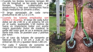 • Cuando los brotes terciarios tengan 40
cm de longitud, se les poda para que
formen brotes cuaternarios o
productivos y hay que conducirlos hacia
abajo mediante un amarre a ellos.
• El largo apropiado de cada rama
productiva es de 1.2 a 1.5 m.
• Cuando los tutores empleados son
inertes o muertos, el largo de cada tutor
debe ser de 2.00 m y se entierra 50 cm
en el suelo, quedando 1.50 metros de
fuera; es importante tratar con aceite
negro quemado (tutor de madera) la
parte del tutor que se va a enterrar para
darle más vida. Se pueden usar 2 plantas
por tutor.
• En el caso de tutores de cemento se
fabrican de 10 x 10 cm x 2.20 m. Se
entierran 40 cm y quedan libres 1.80 cm.
• Por cada 7 tutores de cemento se
requieren los siguientes materiales:
 