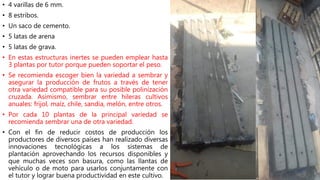 • 4 varillas de 6 mm.
• 8 estribos.
• Un saco de cemento.
• 5 latas de arena
• 5 latas de grava.
• En estas estructuras inertes se pueden emplear hasta
3 plantas por tutor porque pueden soportar el peso.
• Se recomienda escoger bien la variedad a sembrar y
asegurar la producción de frutos a través de tener
otra variedad compatible para su posible polinización
cruzada. Asimismo, sembrar entre hileras cultivos
anuales: frijol, maíz, chile, sandia, melón, entre otros.
• Por cada 10 plantas de la principal variedad se
recomienda sembrar una de otra variedad.
• Con el fin de reducir costos de producción los
productores de diversos países han realizado diversas
innovaciones tecnológicas a los sistemas de
plantación aprovechando los recursos disponibles y
que muchas veces son basura, como las llantas de
vehículo o de moto para usarlos conjuntamente con
el tutor y lograr buena productividad en este cultivo.
 
