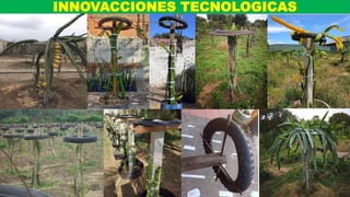INNOVACCIONES TECNOLOGICAS
 