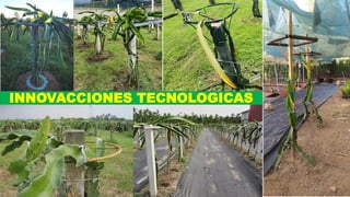 INNOVACCIONES TECNOLOGICAS
 