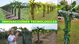 INNOVACCIONES TECNOLOGICAS
 