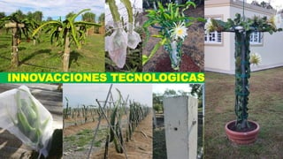 INNOVACCIONES TECNOLOGICAS
 
