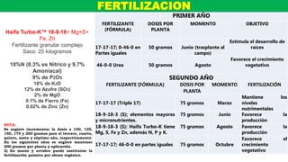 SEGUNDO AÑO
FERTILIZANTE (FÓRMULA) DOSIS POR
PLANTA
MOMENTO FERTILIZACIÓN
17-17-17 (Triple 17) 75 gramos Marzo
Mantiene los
niveles
nutrimentales
18-9-18-3 (S); elementos mayores
y micronutrientes.
75 gramos Junio Favorece la
producción
18-9-18-3 (S): Haifa Turbo-K tiene
Mg, S, Fe y Zn, además N, P y K.
75 gramos Agosto Favorece la
producción
17-17-17; 46-0-0 en partes iguales 75 gramos Octubre
Favorece el
crecimiento
vegetativo
PRIMER AÑO
FERTILIZANTE
(FÓRMULA)
DOSIS POR
PLANTA
MOMENTO OBJETIVO
17-17-17; 0-46-0 en
Partes iguales
50 gramos Junio (trasplante al
campo)
Estimula el desarrollo de
raíces
46-0-0 Urea 50 gramos Agosto
Favorece el crecimiento
vegetativo
FERTILIZACION
Haifa Turbo-K™ 18-9-18+ Mg+S+
Fe, Zn
Fertilizante granular complejo
Saco: 25 kilogramos
18%N (8.3% es Nítrico y 9.7%
Amoniacal)
9% de P2O5
18% de K2O
12% de Azufre (SO3)
2% de MgO
0.1% de Fierro (Fe)
0.02% de Zinc (Zn)
NOTA:
Se sugiere incrementar la dosis a 100, 125,
150, 175 y 200 gramos para el tercero, cuarto,
quinto, sexto y séptimo año, respectivamente.
En los siguientes años se sugiere mantener
200 gramos por planta y aplicación.
2) En marzo y octubre puede sustituirse la
fertilización química por abono orgánico.
 