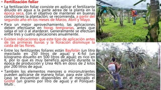 • Fertilización foliar
• La fertilización foliar consiste en aplicar el fertilizante
diluido en agua a la parte aérea de la planta en la
época seca, con el objetivo de mantener en buenas
condiciones la plantación; se recomienda, a partir del
segundo año en los meses de Marzo, Abril y Mayo.
• Para un mejor aprovechamiento, las aplicaciones
deben efectuarse en horas tempranas, antes que
salga el sol o al atardecer. Generalmente se efectúan
entre tres y cuatro aplicaciones anualmente.
• Existen indicaciones que este tipo de aplicación antes
de las primeras lluvias y la floración disminuye la
caída de las flores.
• Entre los fertilizantes foliares están Bayfolán (un litro
mezclado en 250 litros de agua) y K-fol (un
kilogramo disuelto en 500 litros de agua); es rico en
K, por lo que es muy benéfico aplicarlo durante la
época de producción y Urea 46% en dosis de 2 kilos
por 200 litros de agua.
• También los elementos menores o micronutrientes
pueden aplicarse de manera foliar, para este último
caso se encuentran disponibles en el mercado el
Grofol (un gramo por litro de agua) y el Poliquet-
Multi .
 