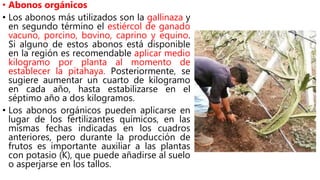 • Abonos orgánicos
• Los abonos más utilizados son la gallinaza y
en segundo término el estiércol de ganado
vacuno, porcino, bovino, caprino y equino.
Si alguno de estos abonos está disponible
en la región es recomendable aplicar medio
kilogramo por planta al momento de
establecer la pitahaya. Posteriormente, se
sugiere aumentar un cuarto de kilogramo
en cada año, hasta estabilizarse en el
séptimo año a dos kilogramos.
• Los abonos orgánicos pueden aplicarse en
lugar de los fertilizantes químicos, en las
mismas fechas indicadas en los cuadros
anteriores, pero durante la producción de
frutos es importante auxiliar a las plantas
con potasio (K), que puede añadirse al suelo
o asperjarse en los tallos.
 