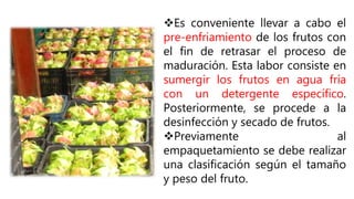 Es conveniente llevar a cabo el
pre-enfriamiento de los frutos con
el fin de retrasar el proceso de
maduración. Esta labor consiste en
sumergir los frutos en agua fría
con un detergente específico.
Posteriormente, se procede a la
desinfección y secado de frutos.
Previamente al
empaquetamiento se debe realizar
una clasificación según el tamaño
y peso del fruto.
 