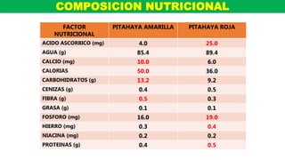 FACTOR
NUTRICIONAL
PITAHAYA AMARILLA PITAHAYA ROJA
ACIDO ASCORBICO (mg) 4.0 25.0
AGUA (g) 85.4 89.4
CALCIO (mg) 10.0 6.0
CALORIAS 50.0 36.0
CARBOHIDRATOS (g) 13.2 9.2
CENIZAS (g) 0.4 0.5
FIBRA (g) 0.5 0.3
GRASA (g) 0.1 0.1
FOSFORO (mg) 16.0 19.0
HIERRO (mg) 0.3 0.4
NIACINA (mg) 0.2 0.2
PROTEINAS (g) 0.4 0.5
COMPOSICION NUTRICIONAL
 