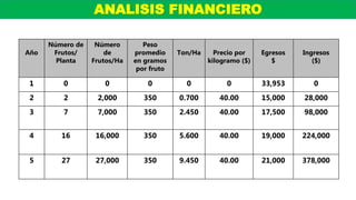 Año
Número de
Frutos/
Planta
Número
de
Frutos/Ha
Peso
promedio
en gramos
por fruto
Ton/Ha Precio por
kilogramo ($)
Egresos
$
Ingresos
($)
1 0 0 0 0 0 33,953 0
2 2 2,000 350 0.700 40.00 15,000 28,000
3 7 7,000 350 2.450 40.00 17,500 98,000
4 16 16,000 350 5.600 40.00 19,000 224,000
5 27 27,000 350 9.450 40.00 21,000 378,000
ANALISIS FINANCIERO
 