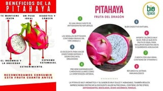 Curso de pitahaya 2020