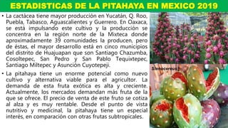 • La cactácea tiene mayor producción en Yucatán, Q. Roo,
Puebla, Tabasco, Aguascalientes y Guerrero. En Oaxaca,
se está impulsando este cultivo y la producción se
concentra en la región norte de la Mixteca donde
aproximadamente 39 comunidades la producen, pero
de éstas, el mayor desarrollo está en cinco municipios
del distrito de Huajuapan que son Santiago Chazumba,
Cosoltepec, San Pedro y San Pablo Tequixtepec,
Santiago Miltepec y Asunción Cuyotepeji.
• La pitahaya tiene un enorme potencial como nuevo
cultivo y alternativa viable para el agricultor. La
demanda de esta fruta exótica es alta y creciente.
Actualmente, los mercados demandan más fruta de la
que se ofrece. El precio de venta de este fruto se cotiza
al alza y es muy rentable. Desde el punto de vista
nutritivo y medicinal, la pitahaya tiene un especial
interés, en comparación con otras frutas subtropicales.
Hylocereus
Stenocereus
ESTADISTICAS DE LA PITAHAYA EN MEXICO 2019
 