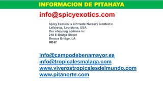info@spicyexotics.com
Spicy Exotics is a Private Nursery located in
Lafayette, Louisiana, USA.
Our shipping address is:
218 E Bridge Street
Breaux Bridge, LA
70517
INFORMACION DE PITAHAYA
info@campodebenamayor.es
info@tropicalesmalaga.com
www.viverostropicalesdelmundo.com
www.pitanorte.com
 