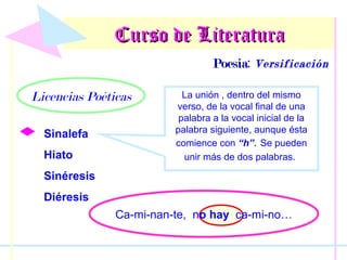 Curso de Literatura
Poesía: Versificación
Poesía

Licencias Poéticas
Sinalefa
Hiato

La unión , dentro del mismo
verso, de la vocal final de una
palabra a la vocal inicial de la
palabra siguiente, aunque ésta
comience con “h”. Se pueden
unir más de dos palabras.

Sinéresis
Diéresis
Ca-mi-nan-te, no hay ca-mi-no…

 