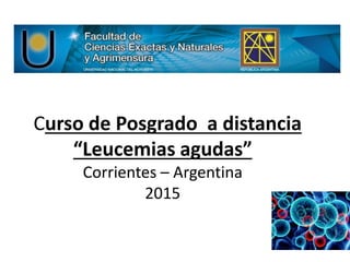 Curso de Posgrado a distancia
“Leucemias agudas”
Corrientes – Argentina
2015
 