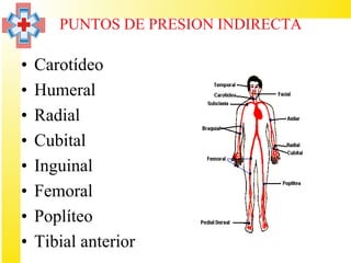 PUNTOS DE PRESIÓN INDIRECTA

•   Carotídeo
•   Humeral
•   Radial
•   Cubital
•   Inguinal
•   Femoral
•   Poplíteo
•   Tibial anterior
 