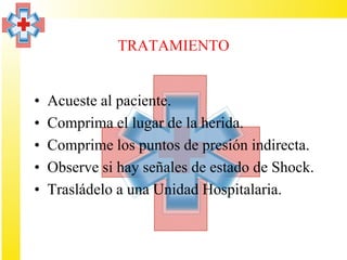TRATAMIENTO


•   Acueste al paciente.
•   Comprima el lugar de la herida.
•   Comprime los puntos de presión indirecta.
•   Observe si hay señales de estado de Shock.
•   Trasládelo a una Unidad Hospitalaria.
 