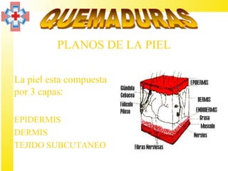 PLANOS DE LA PIEL

• La piel esta compuesta
  por 3 capas:

 EPIDERMIS
 DERMIS
 TEJIDO SUBCUTANEO
 