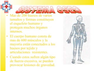 • Mas de 200 huesos de varios
  tamaños y formas constituyen
  el esqueleto humano y
  protegen muchos órganos
  internos.
• El cuerpo humano consta de
  mas de 600 músculos y la
  mayoría están conectados a los
  huesos por tejido y
  articulaciones resistentes.
• Cuando estos sufren algún tipo
  de fuerza excesiva, se pueden
  provocar lesiones de gravedad.
 