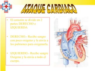 • El corazón se divide en 2
  partes DERECHO e
  IZQUIERDA

• DERECHO.- Recibe sangre
  con poco oxigeno y la envía a
  los pulmones para oxigenarla.

• IZQUIERDO.- Recibe sangre
  Oxigena y la envía a todo el
  cuerpo.
 