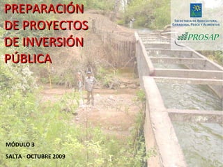 PREPARACIÓN DE PROYECTOS DE INVERSIÓN PÚBLICA MÓDULO 3 SALTA - OCTUBRE 2009 