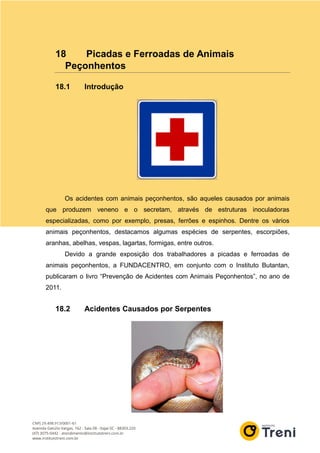18 Picadas e Ferroadas de Animais
Peçonhentos
18.1 Introdução
Os acidentes com animais peçonhentos, são aqueles causados por animais
que produzem veneno e o secretam, através de estruturas inoculadoras
especializadas, como por exemplo, presas, ferrões e espinhos. Dentre os vários
animais peçonhentos, destacamos algumas espécies de serpentes, escorpiões,
aranhas, abelhas, vespas, lagartas, formigas, entre outros.
Devido a grande exposição dos trabalhadores a picadas e ferroadas de
animais peçonhentos, a FUNDACENTRO, em conjunto com o Instituto Butantan,
publicaram o livro “Prevenção de Acidentes com Animais Peçonhentos”, no ano de
2011.
18.2 Acidentes Causados por Serpentes
 