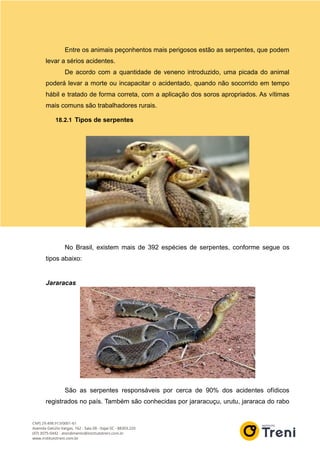 Entre os animais peçonhentos mais perigosos estão as serpentes, que podem
levar a sérios acidentes.
De acordo com a quantidade de veneno introduzido, uma picada do animal
poderá levar a morte ou incapacitar o acidentado, quando não socorrido em tempo
hábil e tratado de forma correta, com a aplicação dos soros apropriados. As vítimas
mais comuns são trabalhadores rurais.
18.2.1 Tipos de serpentes
No Brasil, existem mais de 392 espécies de serpentes, conforme segue os
tipos abaixo:
Jararacas
São as serpentes responsáveis por cerca de 90% dos acidentes ofídicos
registrados no país. Também são conhecidas por jararacuçu, urutu, jararaca do rabo
 