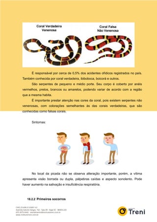 É responsável por cerca de 0,5% dos acidentes ofídicos registrados no país.
Também conhecida por coral verdadeira, ibiboboca, boicorá e outros.
São serpentes de pequeno e médio porte. Seu corpo é coberto por anéis
vermelhos, pretos, brancos ou amarelos, podendo variar de acordo com a região
que a mesma habita.
É importante prestar atenção nas cores da coral, pois existem serpentes não
venenosas, com colorações semelhantes às das corais verdadeiras, que são
conhecidas como falsas corais.
Sintomas:
No local da picada não se observa alteração importante, porém, a vítima
apresenta visão borrada ou dupla, pálpebras caídas e aspecto sonolento. Pode
haver aumento na salivação e insuficiência respiratória.
18.2.2 Primeiros socorros
 