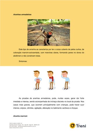 Aranhas armadeiras
Este tipo de arranha se caracteriza por ter o corpo coberto de pelos curtos, de
coloração marrom-acinzentada, com manchas claras, formando pares no dorso do
abdômen e não constroem teias.
Sintomas:
As picadas de aranhas armadeiras, pode, muitas vezes, gerar dor forte
imediata e intensa, sendo acompanhada de inchaço discreto no local da picada. Nos
casos mais graves, que ocorrem principalmente com crianças, pode haver suor
intenso, enjoos, vômitos, agitação, alteração no batimento cardíaco e choque.
Aranha marrom
 