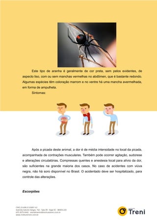 Este tipo de aranha é geralmente de cor preta, sem pelos evidentes, de
aspecto liso, com ou sem manchas vermelhas no abdômen, que é bastante redondo.
Algumas espécies têm coloração marrom e no ventre há uma mancha avermelhada,
em forma de ampulheta.
Sintomas:
Após a picada deste animal, a dor é de média intensidade no local da picada,
acompanhada de contrações musculares. Também pode ocorrer agitação, sudorese
e alterações circulatórias. Compressas quentes e anestesia local para alívio da dor,
são suficientes na grande maioria dos casos. No caso de acidentes com viúva
negra, não há soro disponível no Brasil. O acidentado deve ser hospitalizado, para
controle das alterações.
Escorpiões
 