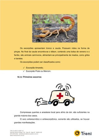 Os escorpiões apresentam tronco e cauda. Possuem mãos na forma de
pinças. No final da cauda encontra-se o télson, contendo uma bolsa de veneno e o
ferrão, são animais carnívoros, alimentam-se principalmente de insetos, como grilos
e baratas.
Os escorpiões podem ser classificados como:
✓ Escorpião Amarelo;
✓ Escorpião Preto ou Marrom.
18.3.2 Primeiros socorros
Compressas quentes e anestesia local para alívio da dor, são suficientes na
grande maioria dos casos.
O soro antiaracnídico e antiescorpiônico, somente são utilizados, se houver
grandes manifestações.
 