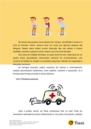 Na maioria das pessoas ocorre apenas dor, inchaço, vermelhidão e coceira no
local da ferroada. Porém, deve-se levar em conta que algumas pessoas são
alérgicas. Nestes casos podem ocorrer obstrução das vias aéreas e choque
anafilático, levando a pessoa a morte, mesmo com uma única ferroada.
Nos casos de múltiplas ferroadas, em geral acima de cem, desenvolve-se um
quadro tóxico generalizado, denominado síndrome de envenenamento, com
aumento de batidas do coração e da pressão sanguínea, distúrbio de coagulação e
alterações cardíacas.
As formigas tocandira, podem ocasionar dor intensa e, eventualmente,
reações generalizadas (sistêmicas), como calafrios, sudorese e taquicardia. Já a
ferroada pela formiga-correição é menos dolorosa.
18.5.2 Primeiros socorros
Após a picada, devem ser feitas compressas frias no local. Pode ser
necessária a aplicação de outros medicamentos e, nos casos mais graves, cuidados
 