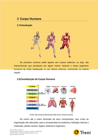 3 Corpo Humano
3.1Introdução
Os primeiros socorros estão ligados aos nossos sistemas, ou seja, são
intercorrências que acontecem por algum motivo, fazendo o nosso organismo
funcionar de modo inadequado ou por fatores externos, culminando na mesma
reação.
3.2Constituição do Corpo Humano
Fonte: http://www.anatomiaresumida.com/o-corpo-humano/
Da menor até a maior dimensão de seus componentes, seis níveis de
organização são relevantes, para a compreensão da anatomia e fisiologia: átomos e
moléculas; células; tecidos; órgãos; sistemas e organismo.
 