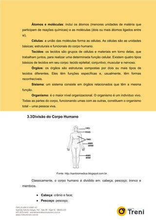 Átomos e moléculas: inclui os átomos (menores unidades de matéria que
participam de reações químicas) e as moléculas (dois ou mais átomos ligados entre
si).
Células: a união das moléculas forma as células. As células são as unidades
básicas; estruturais e funcionais do corpo humano.
Tecidos: os tecidos são grupos de células e materiais em torno delas, que
trabalham juntos, para realizar uma determinada função celular. Existem quatro tipos
básicos de tecidos em seu corpo: tecido epitelial; conjuntivo; muscular e nervoso.
Órgãos: os órgãos são estruturas compostas por dois ou mais tipos de
tecidos diferentes. Eles têm funções específicas e, usualmente, têm formas
reconhecíveis.
Sistema: um sistema consiste em órgãos relacionados que têm a mesma
função.
Organismo: é o maior nível organizacional. O organismo é um indivíduo vivo.
Todas as partes do corpo, funcionando umas com as outras, constituem o organismo
total – uma pessoa viva.
3.3Divisão do Corpo Humano
Fonte: http://sanbiomedica.blogspot.com.br
Classicamente, o corpo humano é dividido em: cabeça; pescoço; tronco e
membros.
● Cabeça: crânio e face;
● Pescoço: pescoço;
 